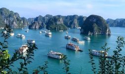 sea octopus halong